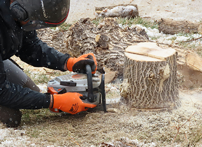 Westland MI stump grinding